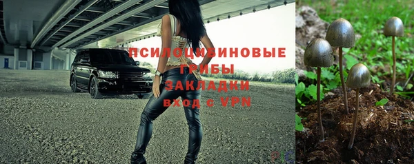 герыч Алексин