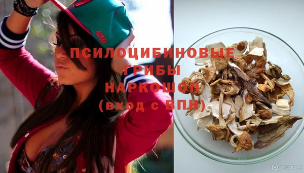 apvp Снежинск