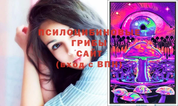прущая мука Снежногорск