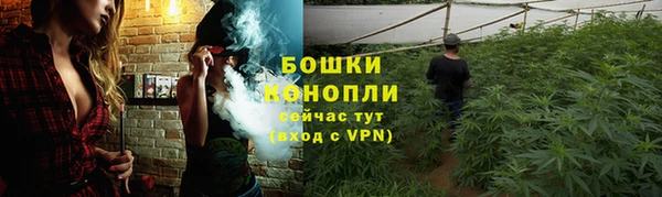 apvp Снежинск