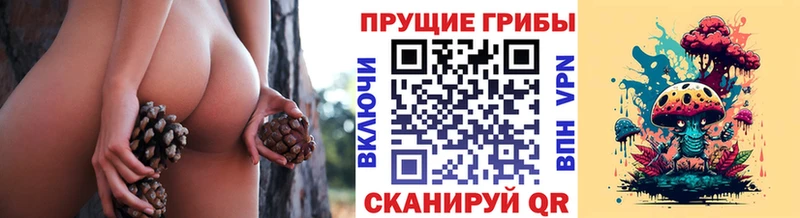 Галлюциногенные грибы MAGIC MUSHROOMS  Ивдель 